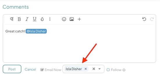 Expanded Comment with Email Now Selected