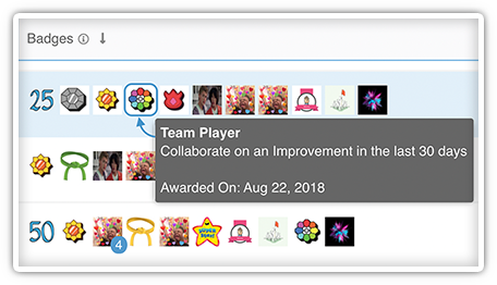 Hover Badge Description