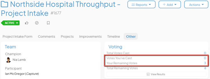 An Item work panel with Votes Youve Cast and Your Remaining Votes in the Voting panel noted